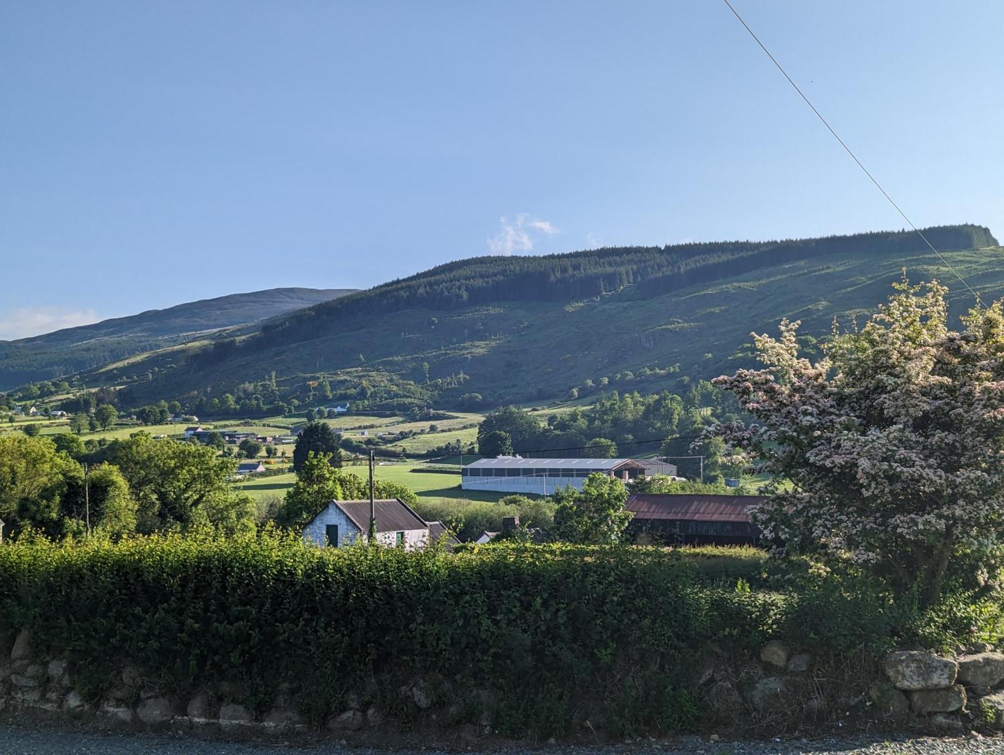 Killeavy Cottage Meigh Екстериор снимка