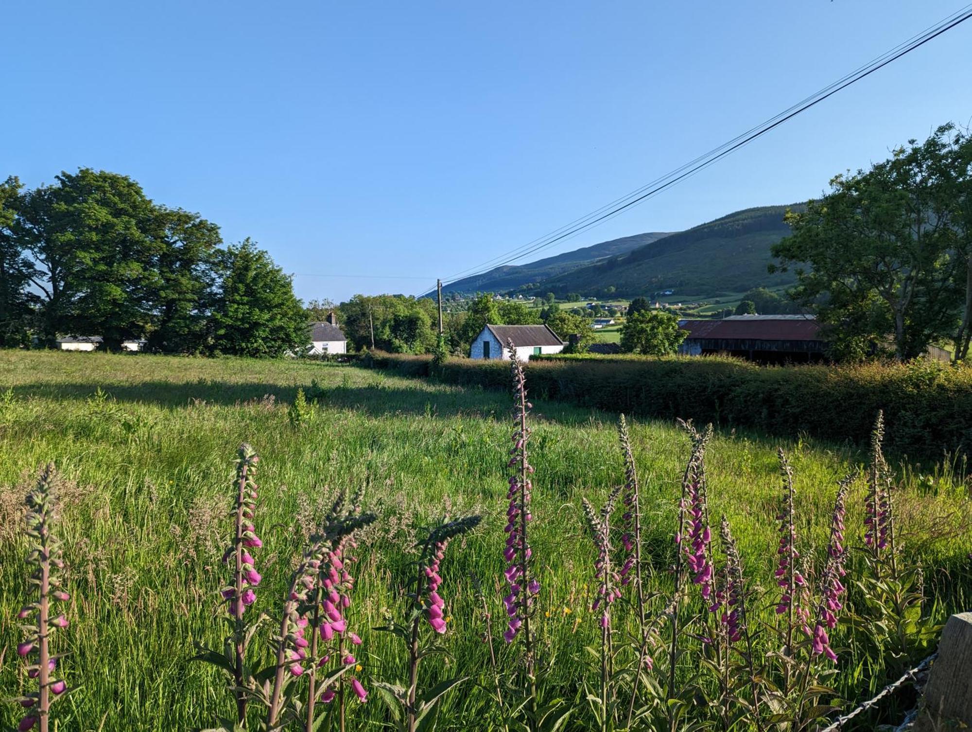 Killeavy Cottage Meigh Екстериор снимка
